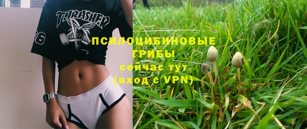 кокаин Белокуриха