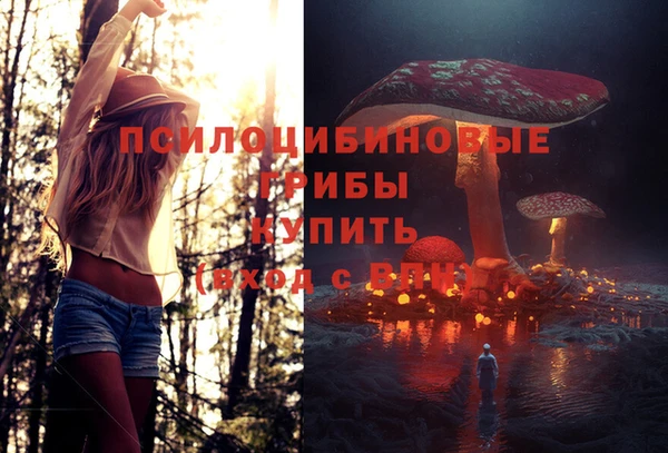 прущая мука Белоозёрский