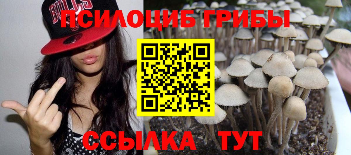 Бутурлиновка  Псилоцибиновые грибы Magic Shrooms  Галлюциногенные грибы MAGIC MUSHROOMS  Вход с VPN 
