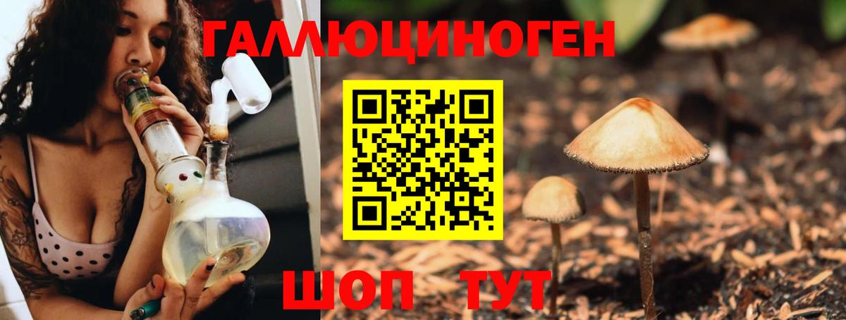 Псилоцибиновые грибы Psilocybe  Бутурлиновка 