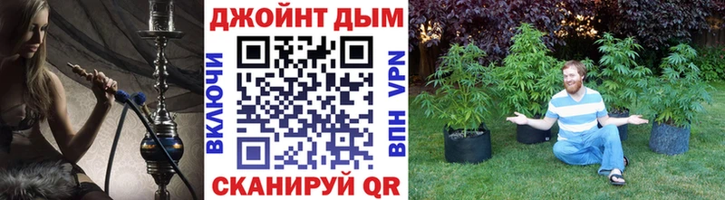 blacksprut ссылка  Бутурлиновка  shop телеграм  Канабис семена 